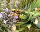 capture-d-cran-2026-04-10-170253-30780