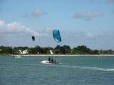 cata-kite-13352