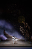 cendrillon-2-28219