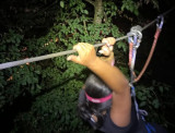 defi-nature-nocturne-28019