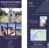 equicoaching-cheval-miroir-15639