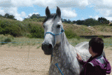 equicoaching-josiane-bellanger-saint-brevin6-11596