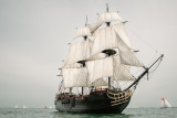 etoile-du-roi-26710