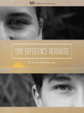 experience-19152