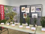 expo-flore-st-brevin-juillet2024-bis-23581