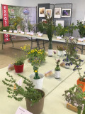 expo-flore-st-brevin-juillet2024-ter-23579
