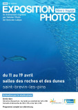 expo-photo-reve-et-voyages-1-30536