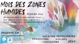 fevrier-mois-zones-humides-hirondelle-14637