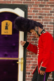 guard-save-the-queen-4-26885