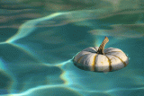 halloween-piscine-st-brevin-tourisme-11770