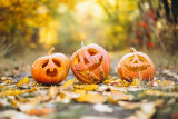halloween-st-brevin2024-24712