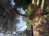 image00062-29193