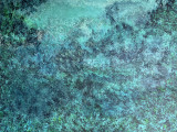 img-0024-23214