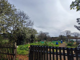 img-20240327-114616-26495