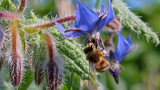 img-2890-copie-26623