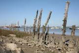img-4102-16197