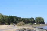 img-4255-16198