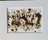 img-6148-28642