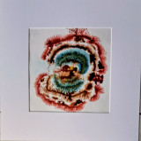 img-6151-28645