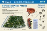 journee-mondiale-biodiversite-saint-brevin5-10901
