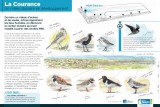 journee-mondiale-biodiversite-saint-brevin9-10904