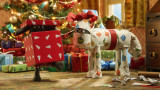 l-incroyable-noel-de-shaun-le-mouton-5-19841