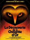 la-d-couverte-de-la-chouette-d-or-affiche-26584