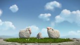 lambs-studiofilmbilder-16498