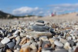 land-art-ga469eb431-1920-15465