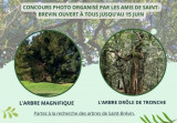 les-arbres-remarquables-de-notre-ville-agenda-21769