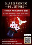 les-magiciens-de-lestuaire-32798