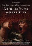 me-me-les-singes-ont-des-bleus-affiche-21370