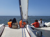 mouette-and-sea-2-28995