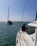 mouette-and-sea-3-28993