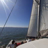 mouette-and-sea-4-28996