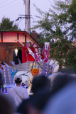 parade-des-pins-10-31680