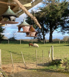 pause-cousette-ext-rieur-10669-11018-29380