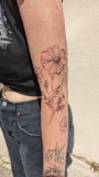 pikou-du-32223 pikou-du-32223