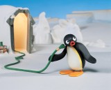 pingu-cinejade-saint-brevin2-14020