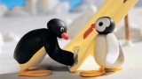 pingu-cinejade-saint-brevin4-14022