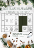 planning-vacances-de-no-l-2025-29185