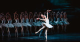 swan-lake-1200x628-7-11zon-32683