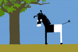 zebra2-studiofilmbilder-16495