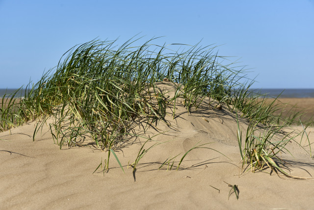 2018-04-plage-de-la-roussellerie-093610-27838