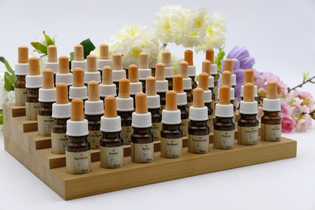 bach-flowers-3144611-1280-25952