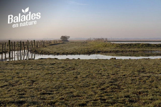 balade-velo-frossay-30172