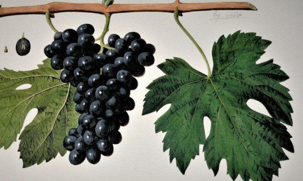 capture-d-cran-2026-02-14-160541-30141