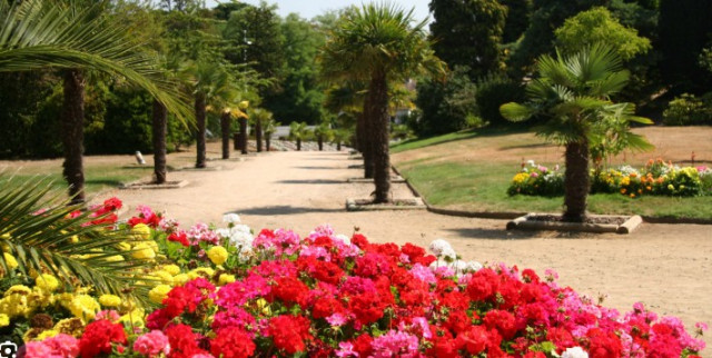 capture-d-cran-2026-02-14-162741-30144