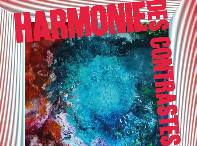 harmonie-des-contrastes-moniq-chevalier-30898