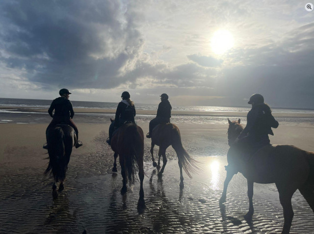 les-ecuries-de-saint-brevin-29188